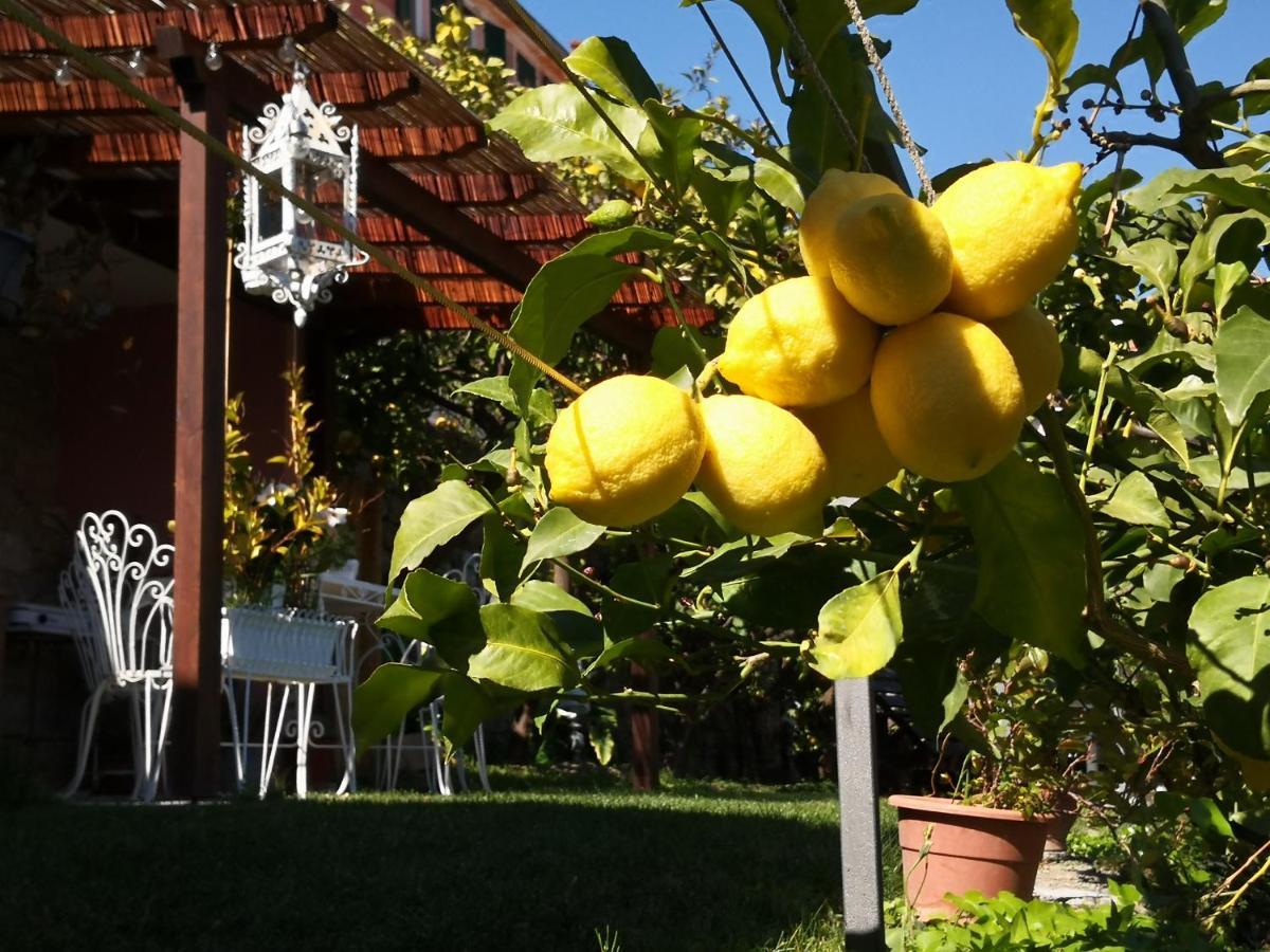 Florinda Lemon'S Suite Cervo Esterno foto