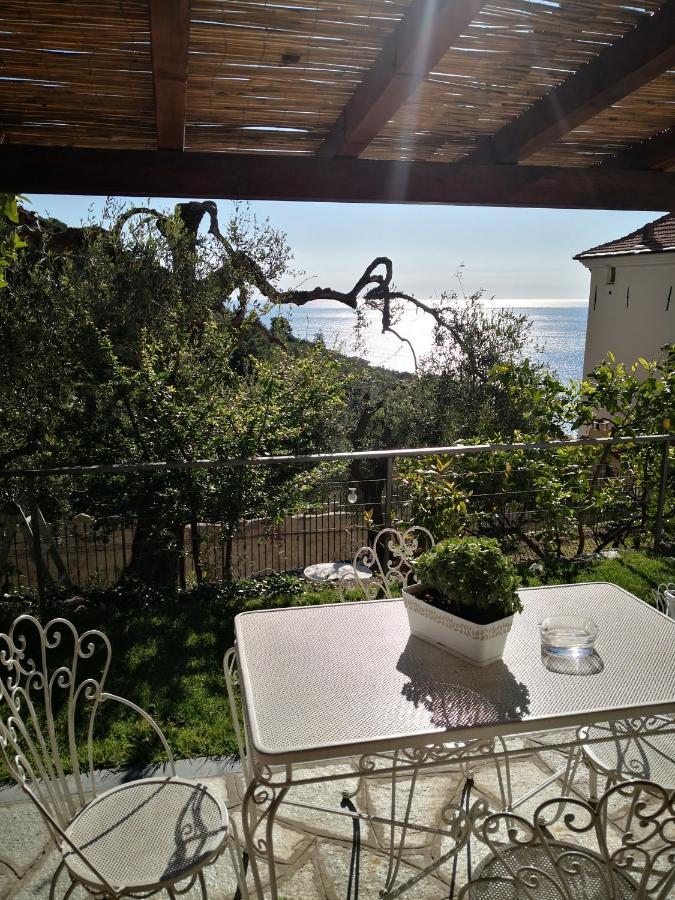 Florinda Lemon'S Suite Cervo Esterno foto