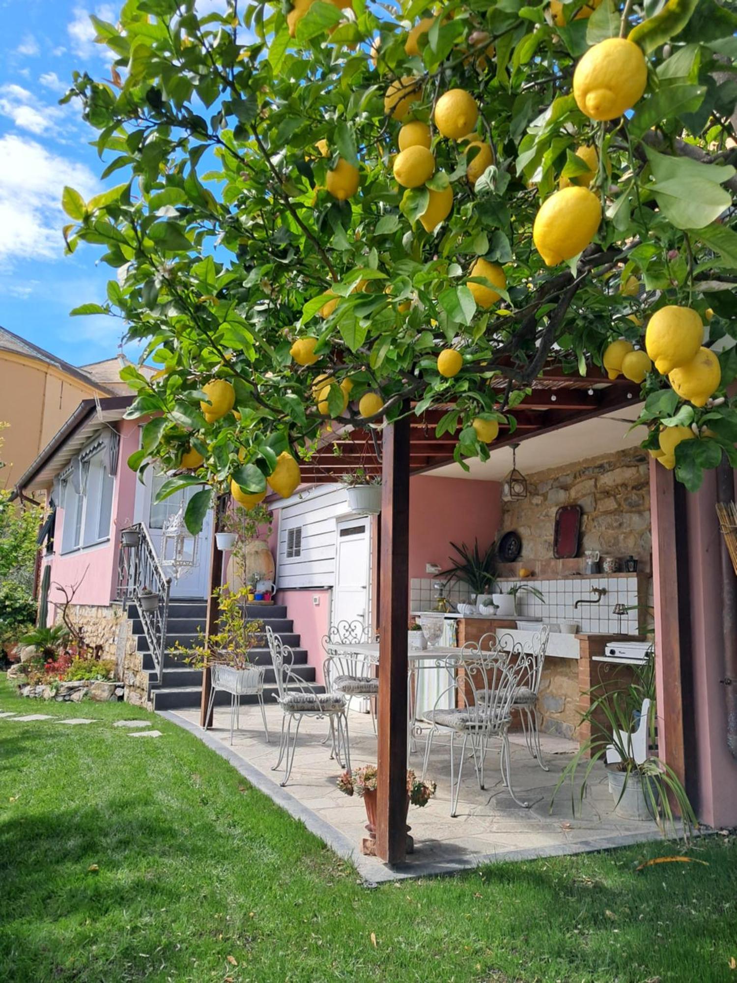 Florinda Lemon'S Suite Cervo Esterno foto